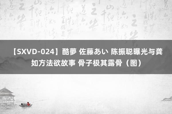 【SXVD-024】酷夢 佐藤あい 陈振聪曝光与龚如方法欲故事 骨子极其露骨（图）