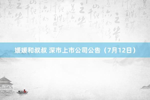 媛媛和叔叔 深市上市公司公告（7月12日）