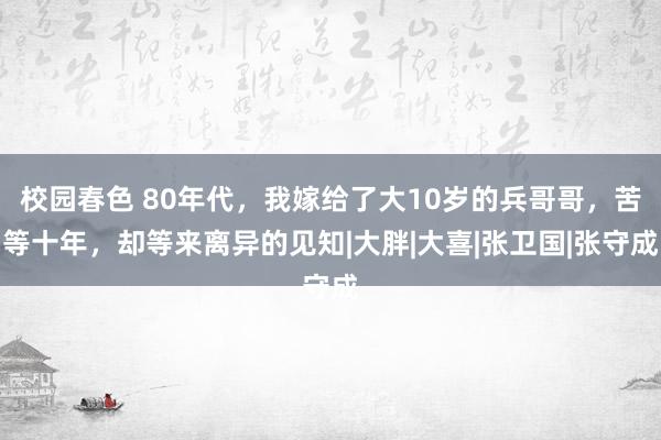 校园春色 80年代，我嫁给了大10岁的兵哥哥，苦等十年，却等来离异的见知|大胖|大喜|张卫国|张守成