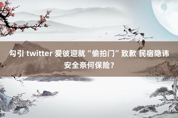 勾引 twitter 爱彼迎就“偷拍门”致歉 民宿隐讳安全奈何保险？