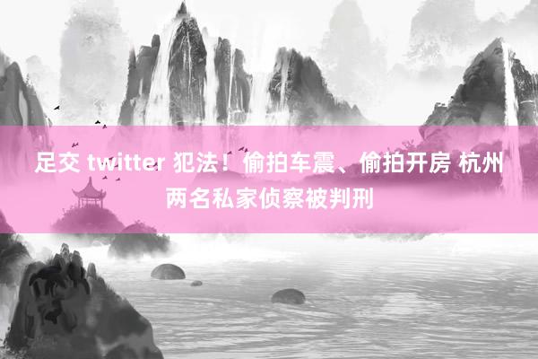 足交 twitter 犯法！偷拍车震、偷拍开房 杭州两名私家侦察被判刑