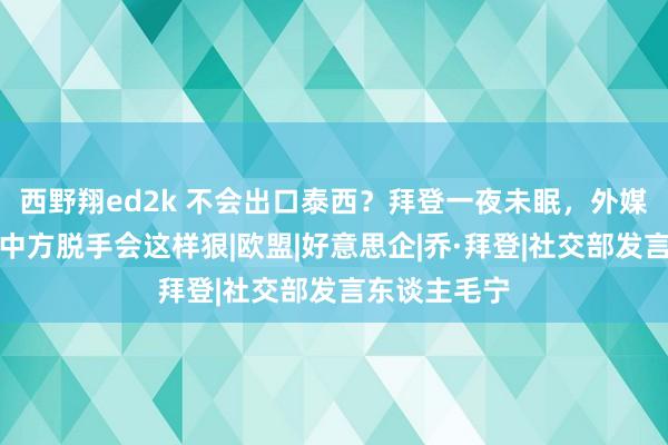 西野翔ed2k 不会出口泰西？拜登一夜未眠，外媒：没念念到中方脱手会这样狠|欧盟|好意思企|乔·拜登|社交部发言东谈主毛宁