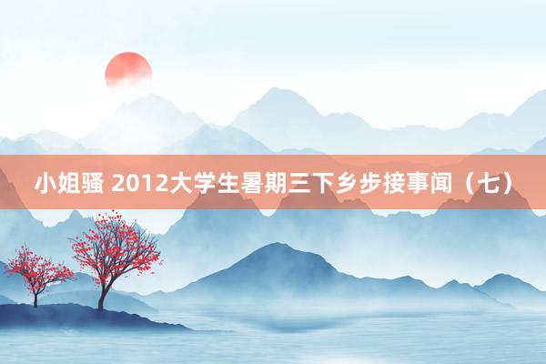 小姐骚 2012大学生暑期三下乡步接事闻（七）