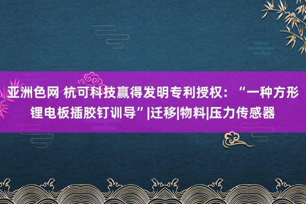 亚洲色网 杭可科技赢得发明专利授权：“一种方形锂电板插胶钉训导”|迁移|物料|压力传感器